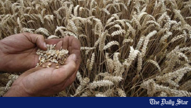 'Bangladesh, India can cooperate in research, development of millet' - Vimarsana News