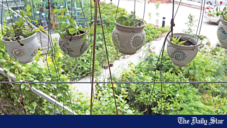 Offerings of the city's countless nurseries - Vimarsana News
