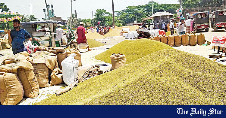 Mung bean exports take a hit | The Daily Star