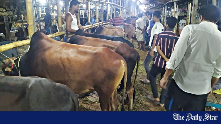Gabtoli market: Small cattle in high demand - Vimarsana News