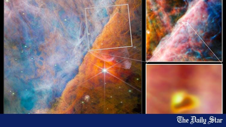 Answer to the origin of life on Earth may be in a distant star - Vimarsana News