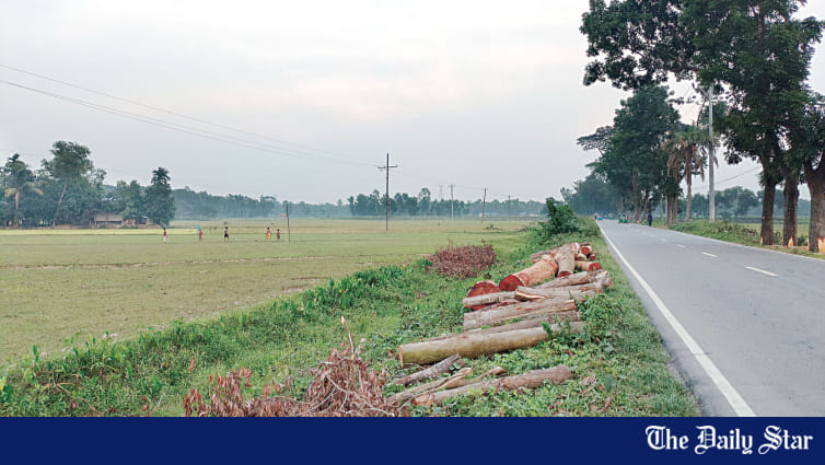 Trees felled for road widening work - Vimarsana News