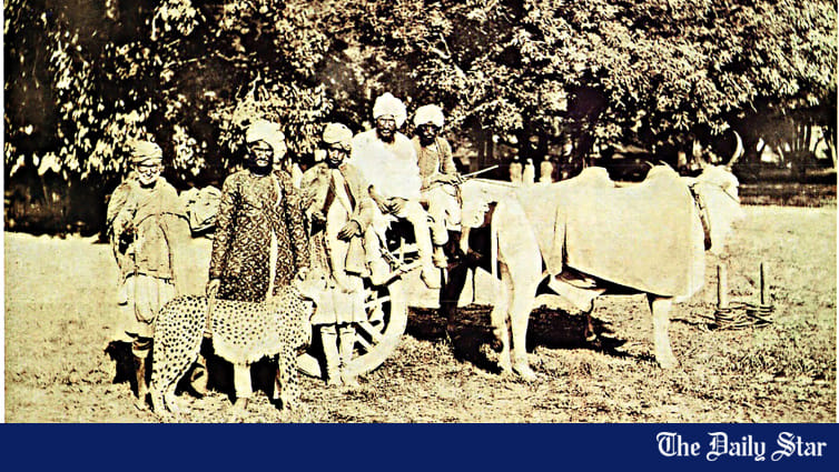 Laughter and Thrills: A History of Circus in East Bengal - Vimarsana News