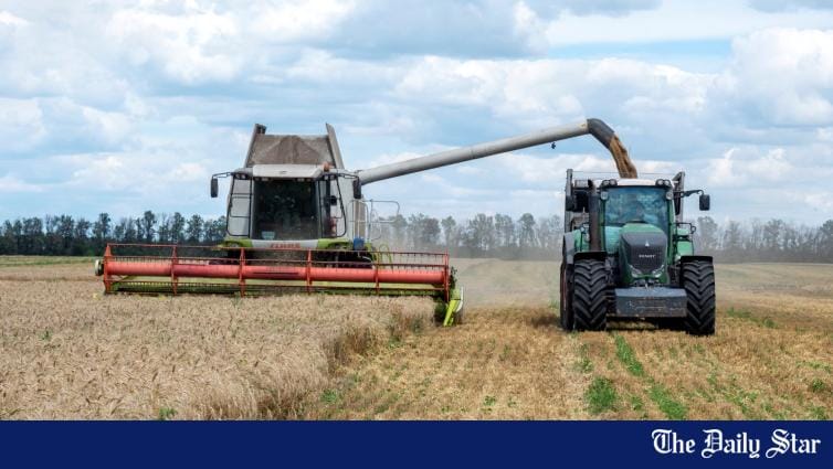 Bad news for wheat market as Russia pulls out of grain deal - Vimarsana News