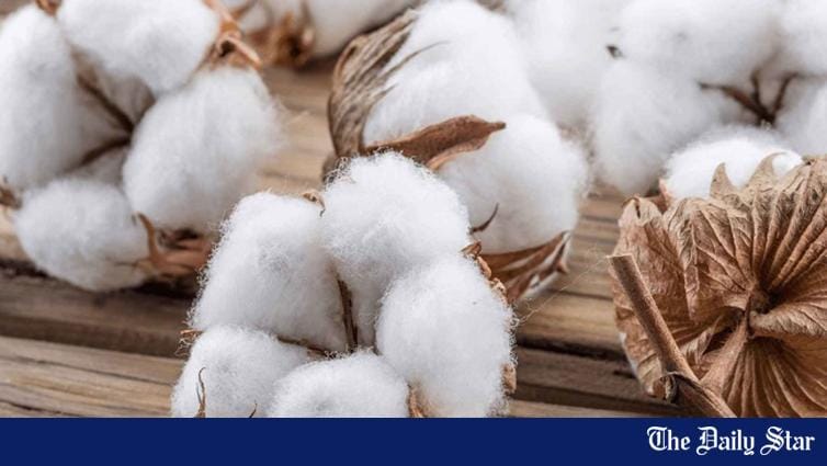 US cotton GSP scheme could be win-win - Vimarsana News