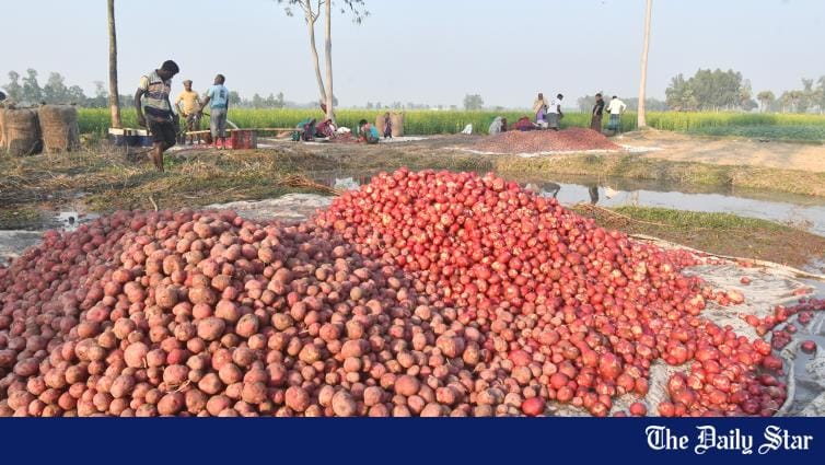 It's peak season for potato, but prices are still high. Here's why - Vimarsana News
