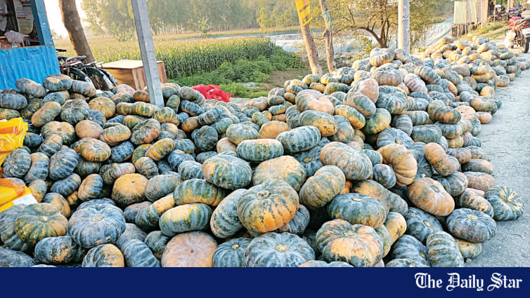 Low price frustrates pumpkin growers - Vimarsana News