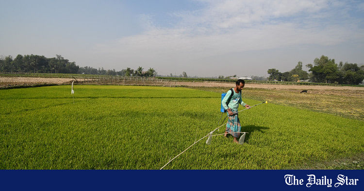 Over half of farmland deemed economically unsustainable: survey