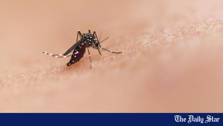 4 die of dengue in 24 hours | The Daily Star