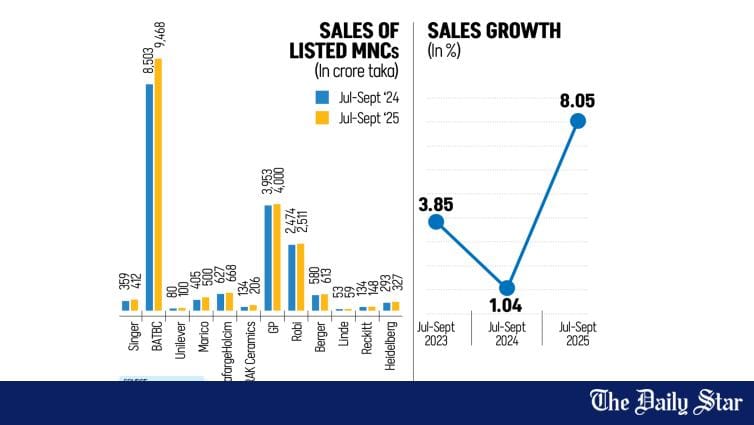Global firms see sales rise in Bangladesh but profits stay weak