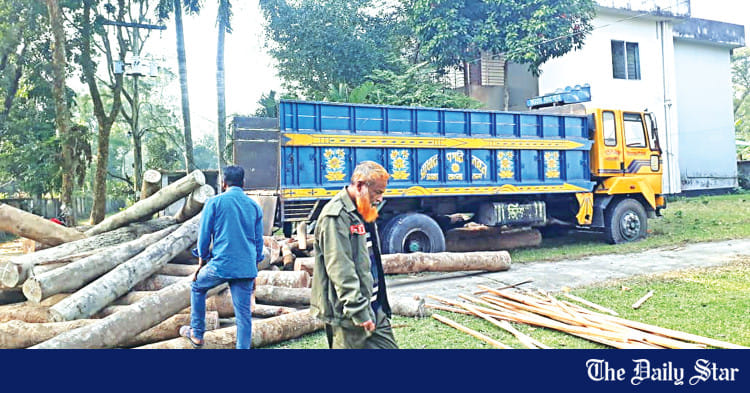 Satchari, rema-kalenga: Illegal logging continues at reserved forests