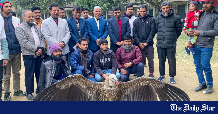 Student group rescues Himalayan Griffon vulture in Gaibandha