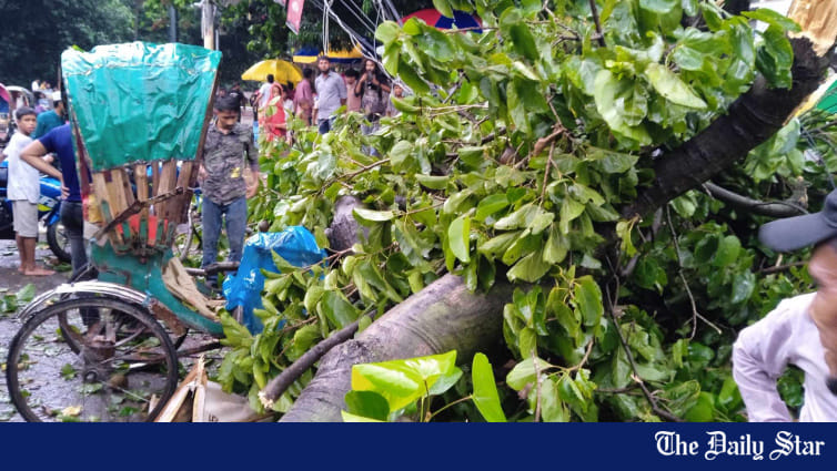 Rickshaw puller killed as tree falls on him in DU - Vimarsana News