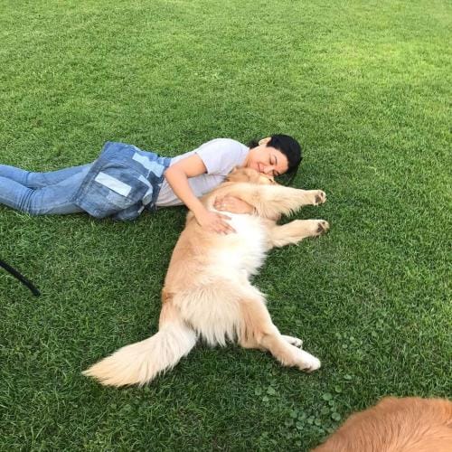 Animal abuse must stop: Jaya Ahsan