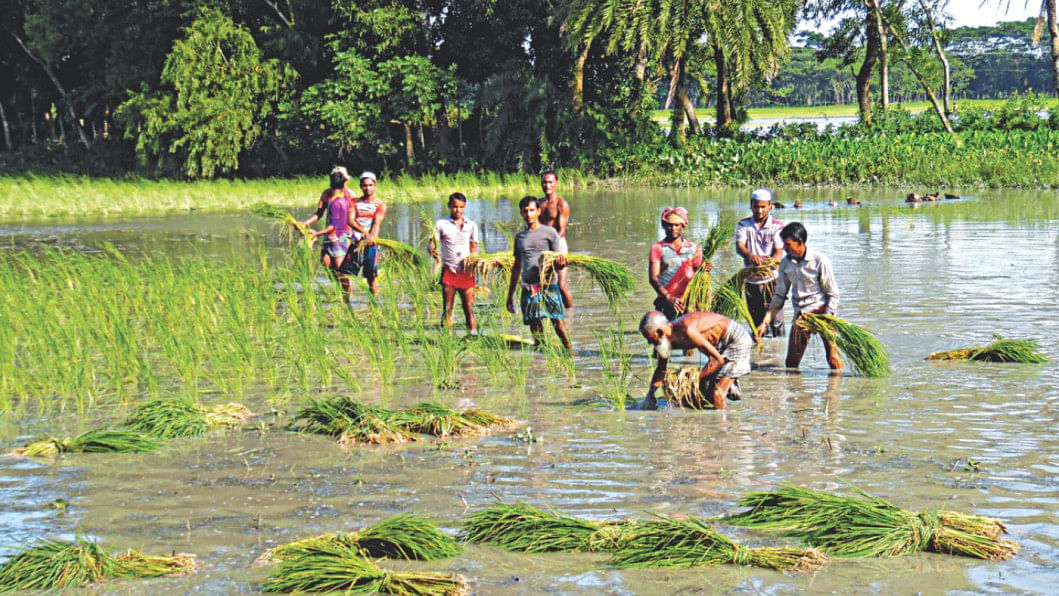 Farmers planting