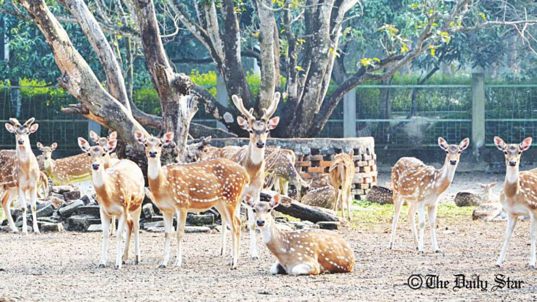 Rajshahi Zoo Rajshahi Zoo