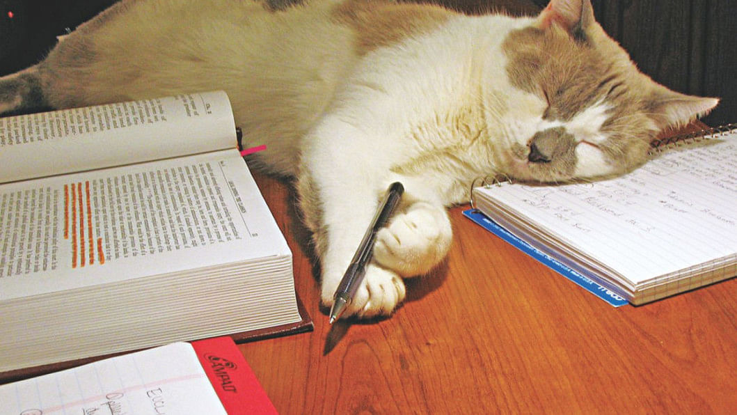 exam preparations