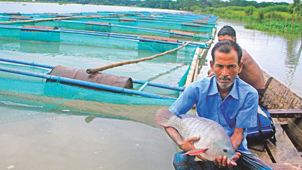 Jaman Fish Hatchery