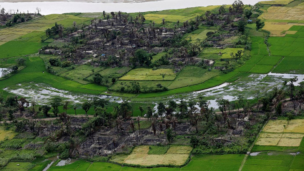 rohingya crisis rohingya crisis