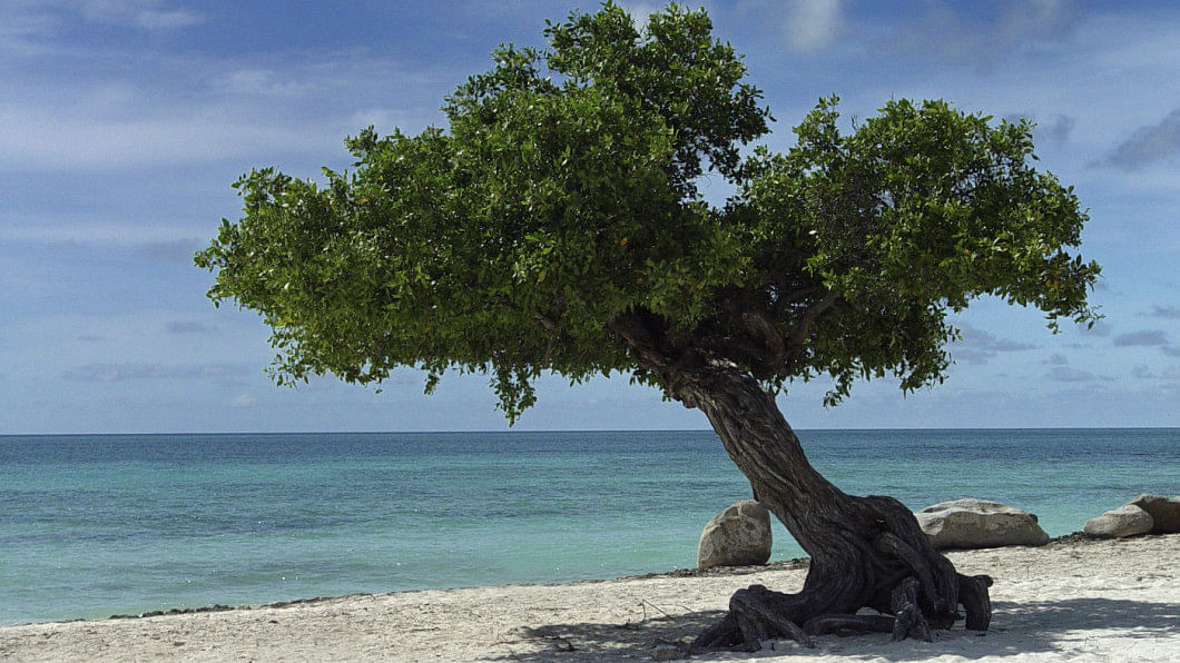 Top 5 beaches in the world Top 5 beaches in the world