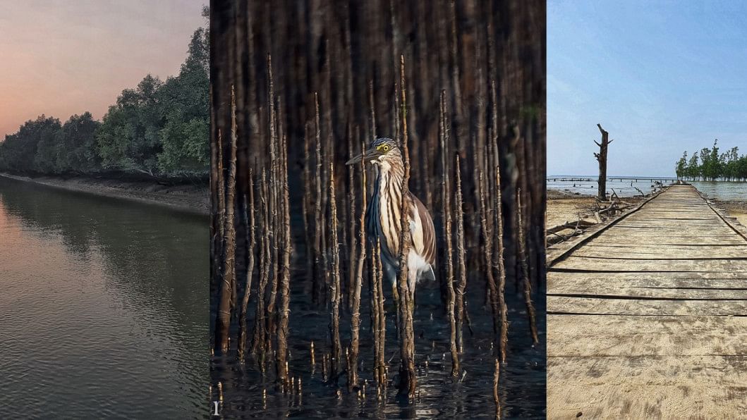 Your complete guide to visiting the Sundarbans 