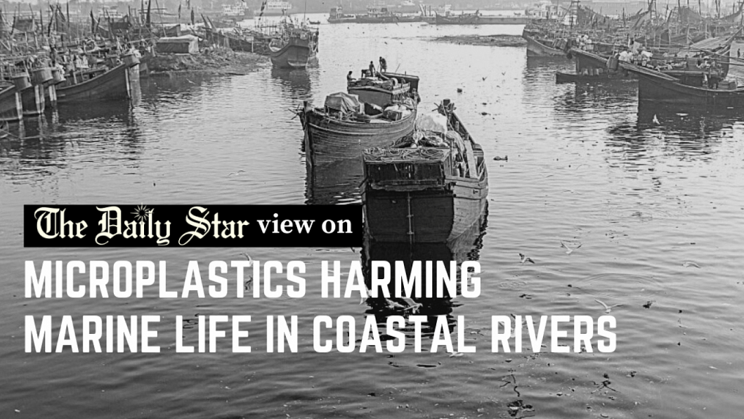 Save Sundarbans from plastic pollution Microplastic in fish