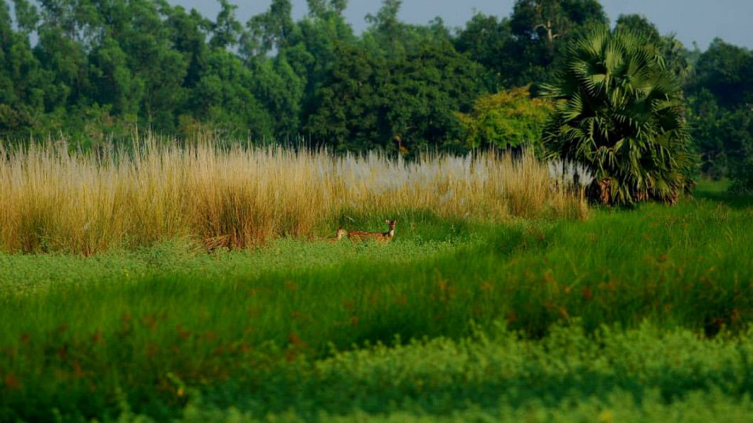 Conversations with conservationists wildlife conservation