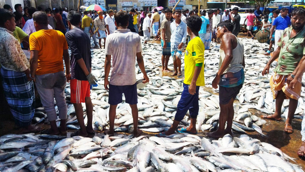 Cox's Bazar Fishery Ghat, a prominent wholesale market for marine fish