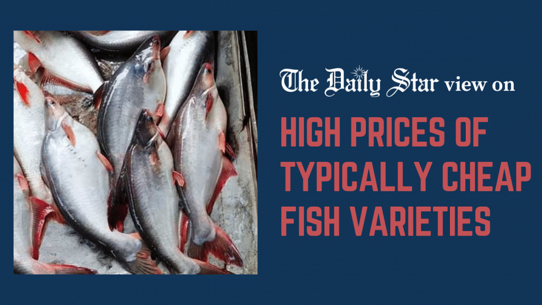 What's driving up fish prices?