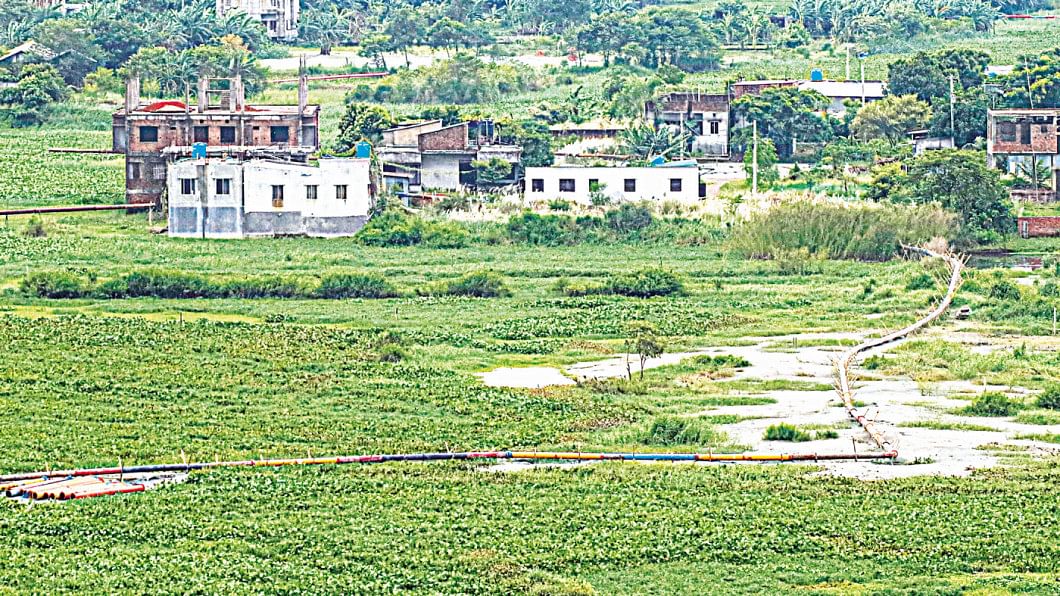 Totail Beel in Taranagar union of Keraniganj