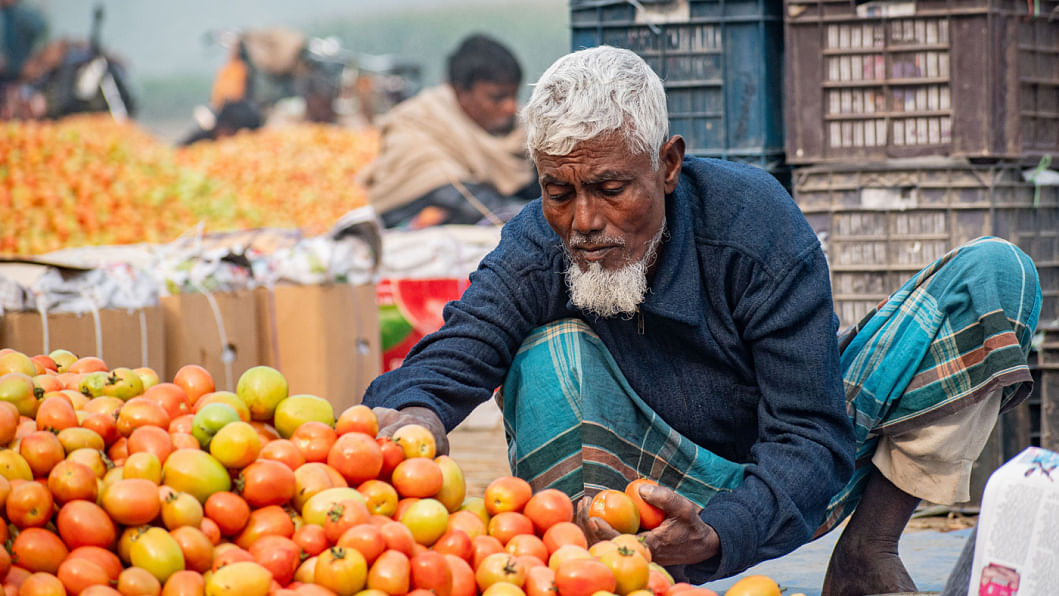Tomato market in Bogura, tomato farmers in Bogura, tomato cultivation in Bogura, Bogra tomato farmers happy, Tomato market bogura today, Bogura tomato farming brings smiles to farmers, tomato farmers making huge profits in Bogura