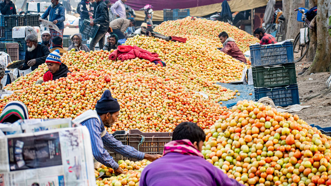 Tomato market in Bogura, tomato farmers in Bogura, tomato cultivation in Bogura, Bogra tomato farmers happy, Tomato market bogura today, Bogura tomato farming brings smiles to farmers, tomato farmers making huge profits in Bogura