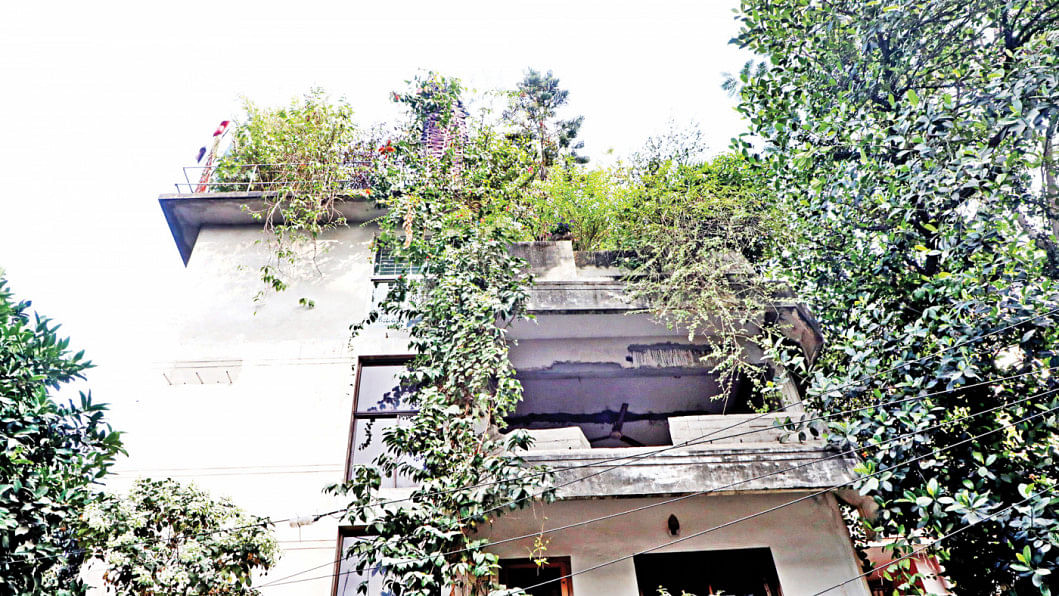 Rooftop gardening in Bangladesh The wondrous world of rooftop