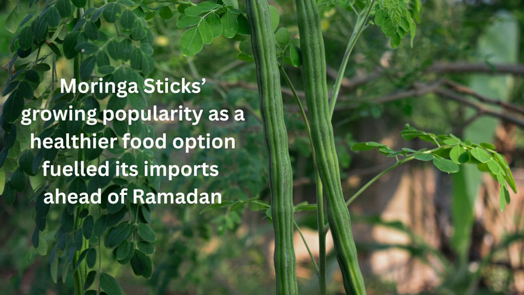 Moringa stick imports rise ahead of Ramadan | The Daily Star