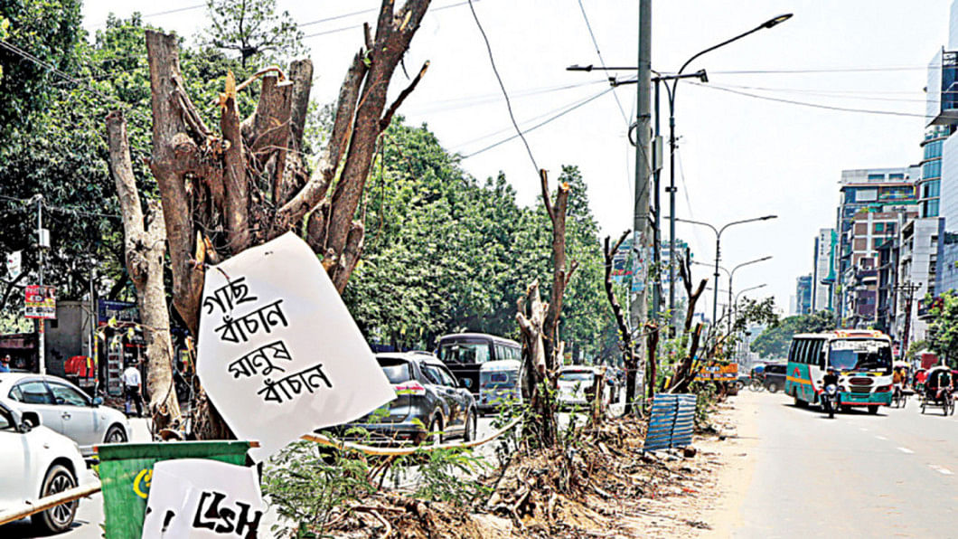 thedailystar.net - Mohammed Abdul Baten - Banning trees to save nature? Rethinking Bangladesh's exotic tree policy