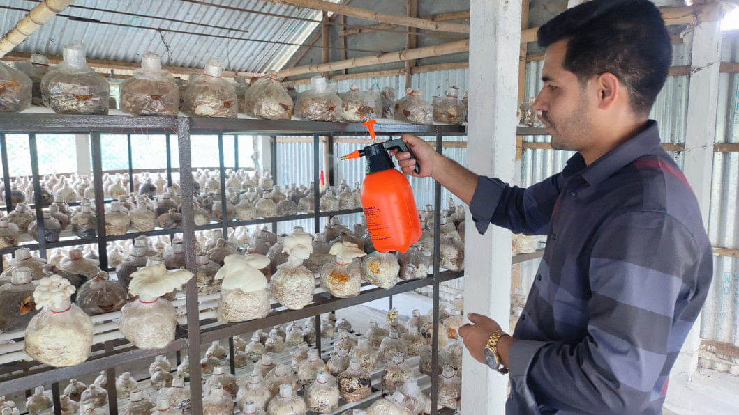 thedailystar.net - Masuk Hridoy - Fayzul finds success in mushroom farming