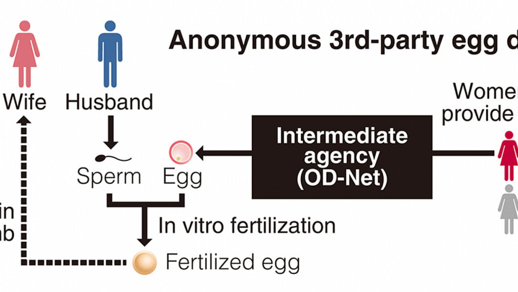 Japan birth resulting from an anonymous third-party egg