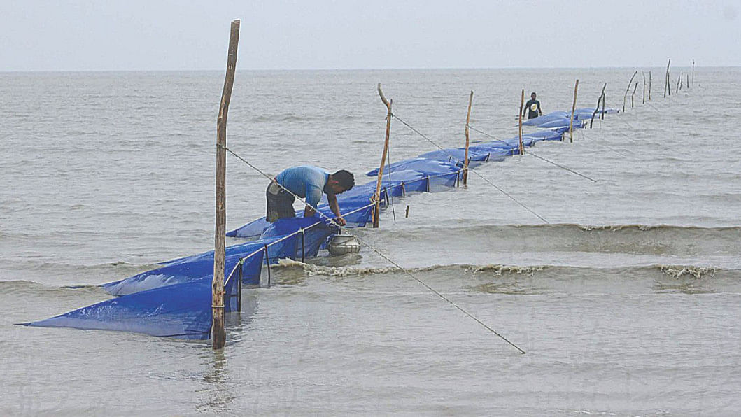 Bangladesh 47th in world illegal fishing index Bangladesh 47th in world illegal fishing index
