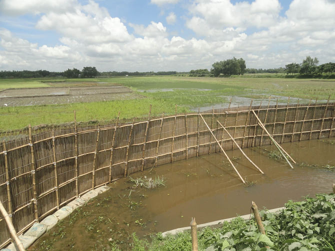 This bamboo fence, illegally erected by local BNP men in Dulai Beel (water body) for fish farming in June this year at Falimari village in Aditmari upazila of Lalmonirhat, was removed yesterday morning following a court order. Photo: Star