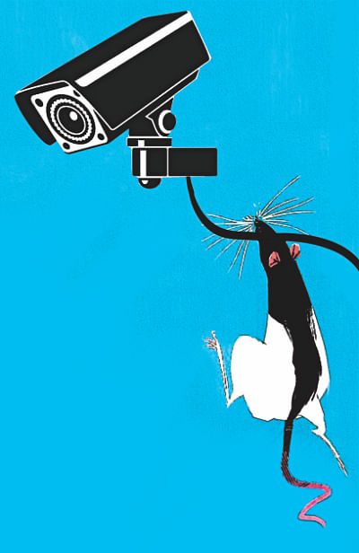 PDB blames rats for CCTV outage in DMCH