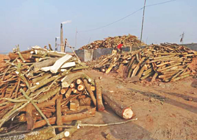 A brickfield in Kaliganj area of Sherpur municipality uses firewood at the kiln defying  the environment department ban.  The owner of the brickfield, however, said in defence that they were now undone due to lack of coal supply from Barapukuria mine in the peak season. PHOTO: STAR