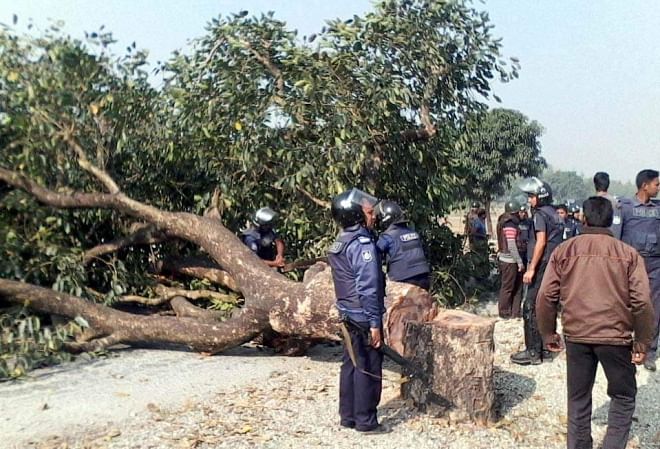 Jamaat-Shibir men felled a tree at Kafir Bazar area on Lalmonirhat-Burimari highway to enforce a road blockade on Sunday. Photo: Star