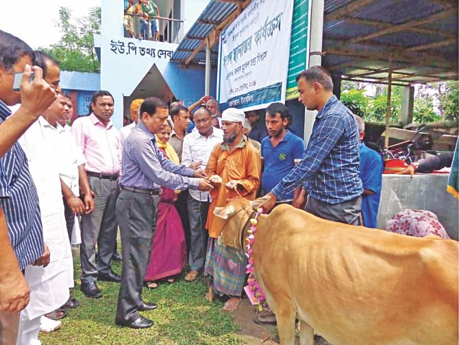 Deputy Commissioner Mukesh Chandra Biswas hands over a cow to Belal Hossain. photo: star