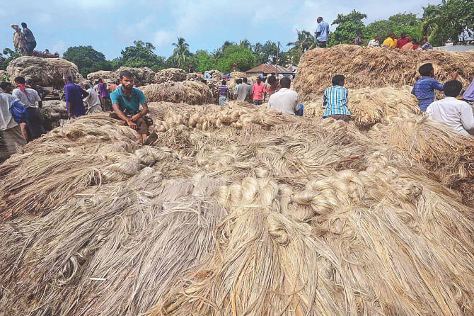 Jute farmers gather with their produces at Sariakandi Sadar Haat (weekly market) in Bogra. The district saw a good production of the fibre while the growers were getting fair prices of it this season. PHOTO: STAR