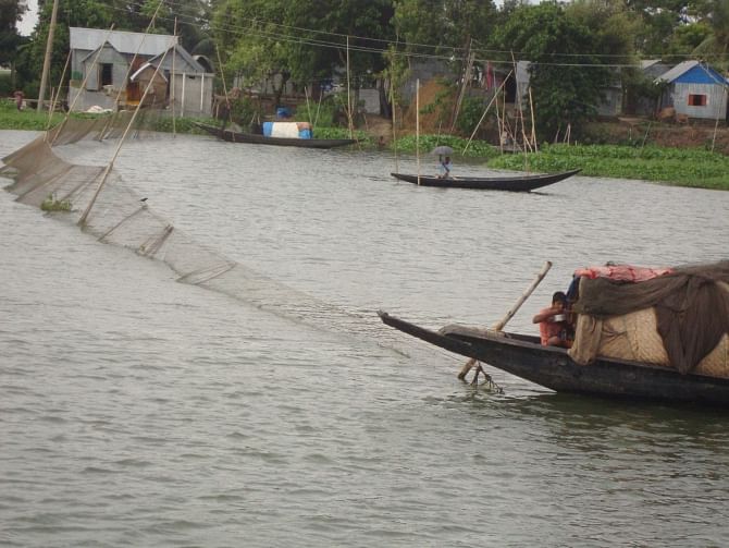 Fishermen use giant nets to trap all kinds of fishes that come for food and shelter at 'fake sanctuaries' made by callous fishermen in the Titas River in Brahmanbaria district. PHOTO: STAR