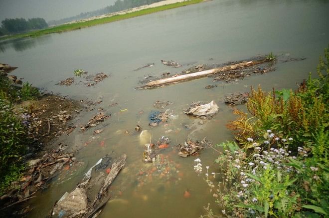 Dying fishes afloat in the badly polluted Karatoa River in Panchagarh Sadar upazila.  PHOTO: STAR
