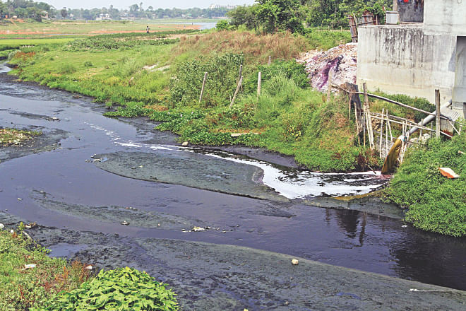 The government plans to announce green tax in the next budget to curb environmental pollution. Photo: Star