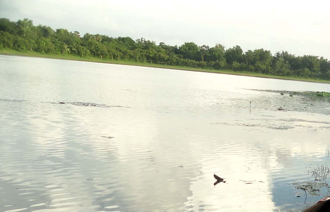 The ecological park in historic Ramsagar at Tajpur village in Dinajpur Sadar upazila has become a safe haven for drug addicts and gamblers. Photo: Star