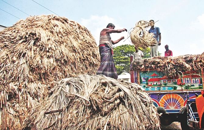 Jute is being loaded on to a truck at a weekly market in Karatia, Tangail. The fibres were sold to private buyers.  Photo: Mirza Shakil