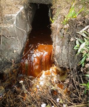 Liquid waste from Asia Distilleries finds the way to the river. PHOTO: STAR